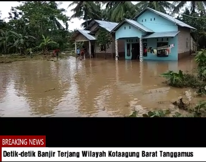 VIDEO !!! Banjir Terjang Kecamatan Kotaagung Barat pada Jumat Lalu (30/11)