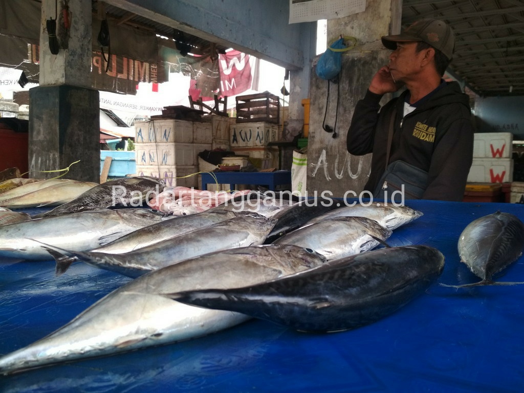 Wow, Wilayah Kapuran Bakal Dijadikan Sentra Ikan Bakar