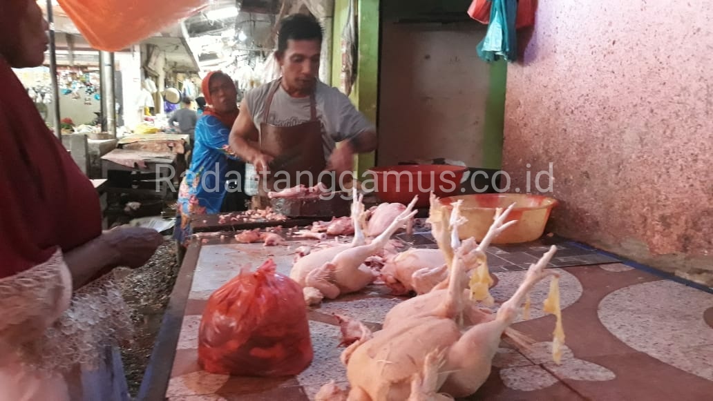 Harga Daging Ayam Masih Bertahan Tinggi