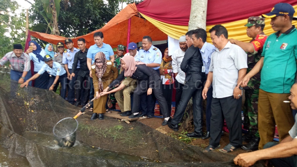 Konsumsi Ikan Di Tanggamus Masih Rendah