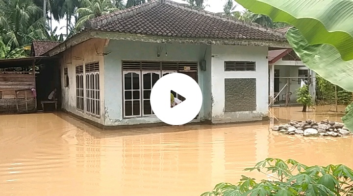 VIDEO!!! Banjir Landa 3 Kecamatan di Wilayah Barat Kabupaten Tanggamus