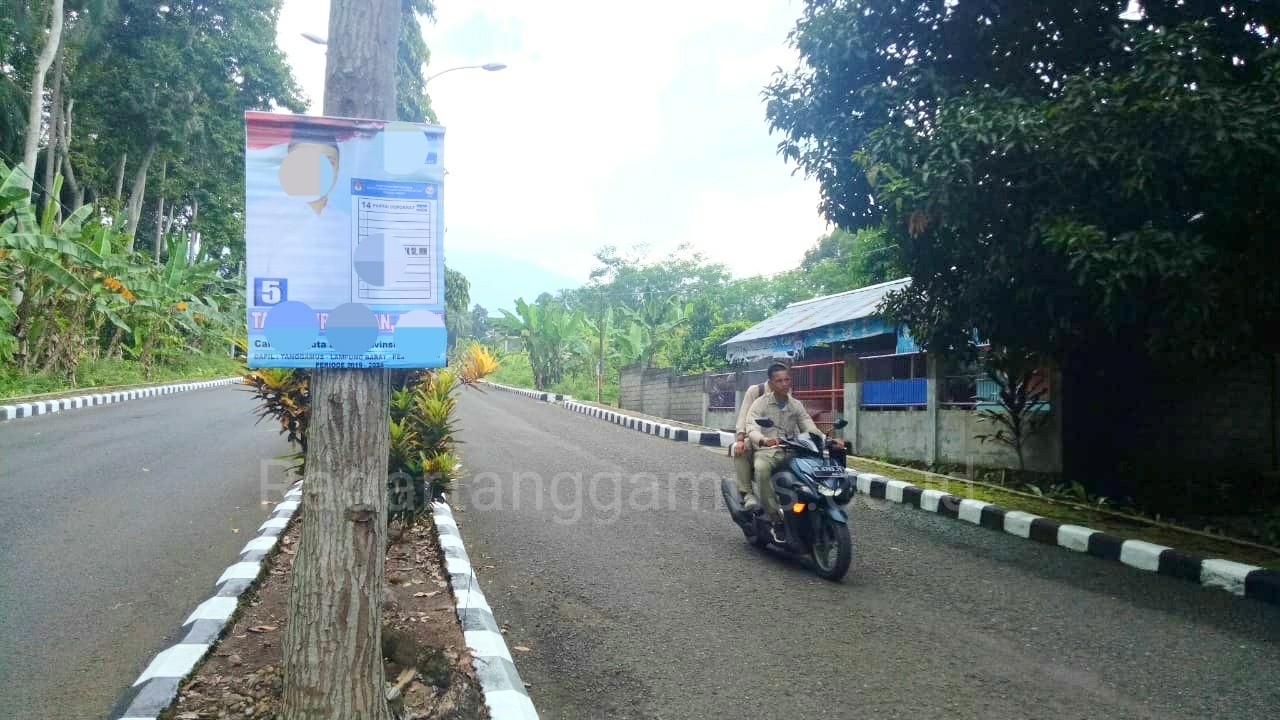 Besok, APK yang Dipasang di Pohon dan Median Jalan Akan Ditertibkan