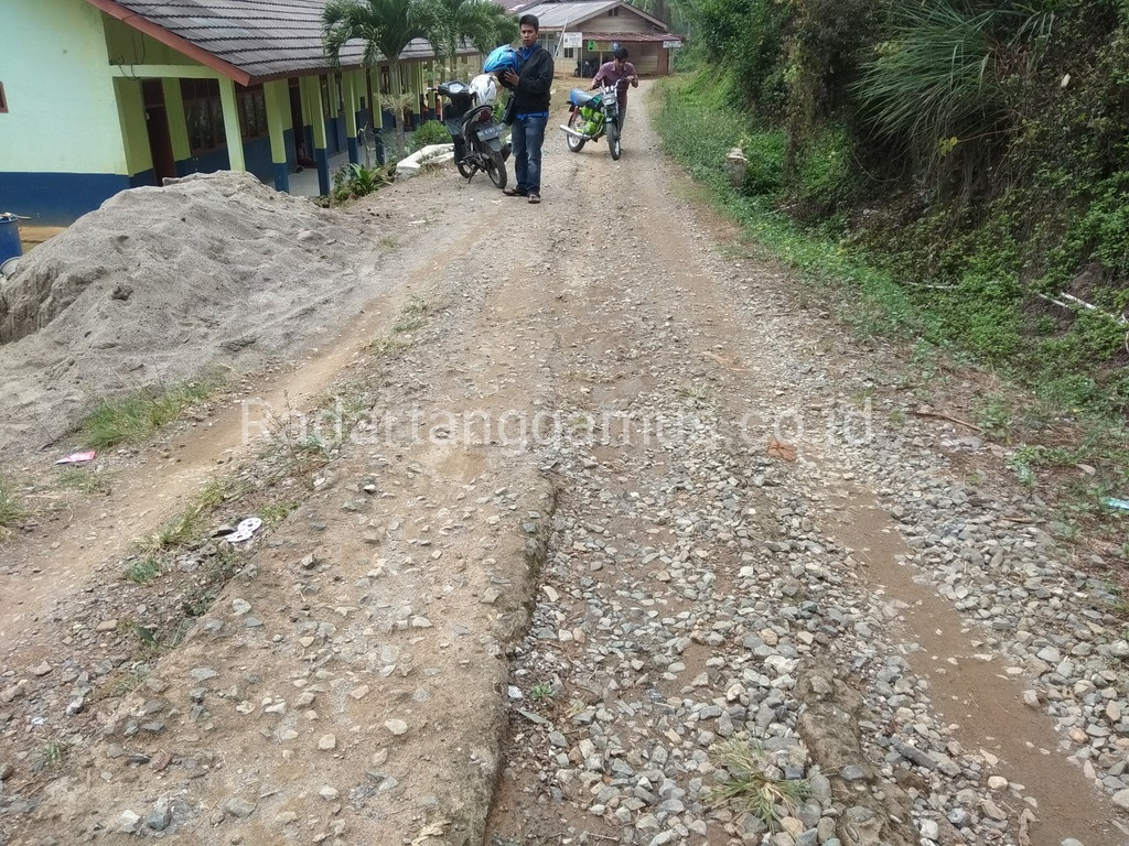 Akses Jalan Menuju SDN 3 Sedayu Rusak