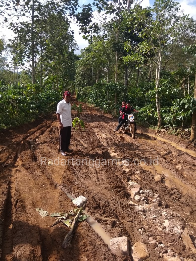 Miris, Kondisi Jalan di Pekon Airabang Ulubelu Berlumpur