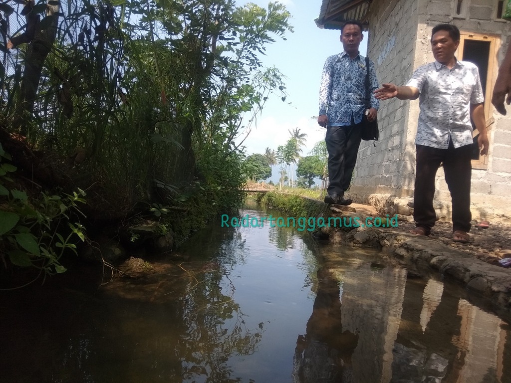 Irigasi Rusak, Jadi Sarang Biawak