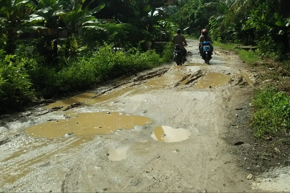 Tiga Kali Ganti Bupati, Jalan Pekon Garut Tetap Berlumpur