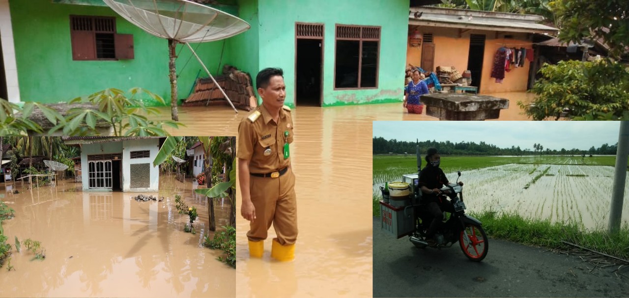 Banjir Melanda Tiga Kecamatan di Wilayah Barat Tanggamus