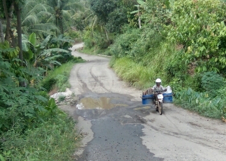 Jalan Penghubung Antar Kecamatan Rusak Parah