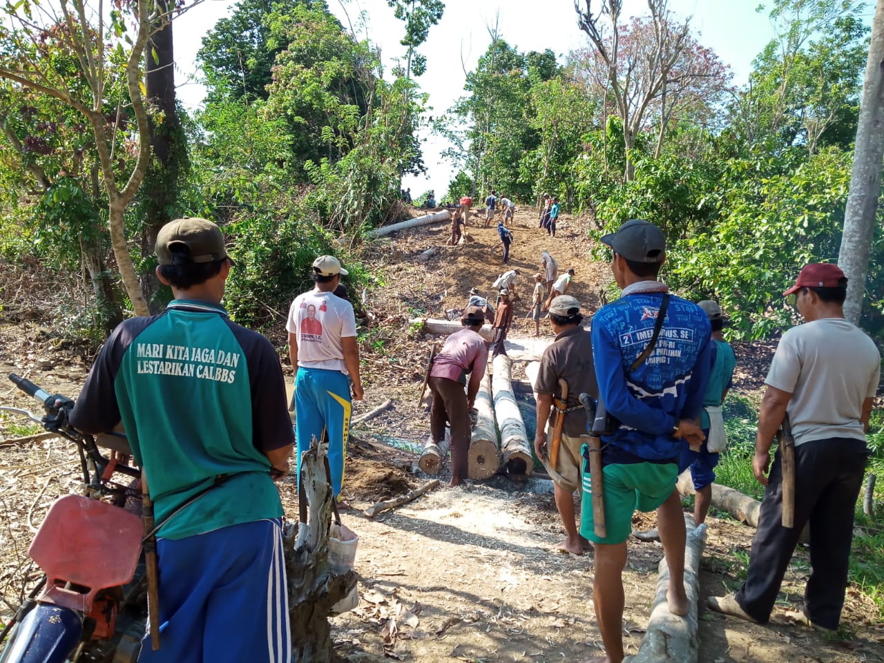 Kabar Baik, Jaringan Listrik PLN Segera Masuk di 8 Pekon Pematangsawa