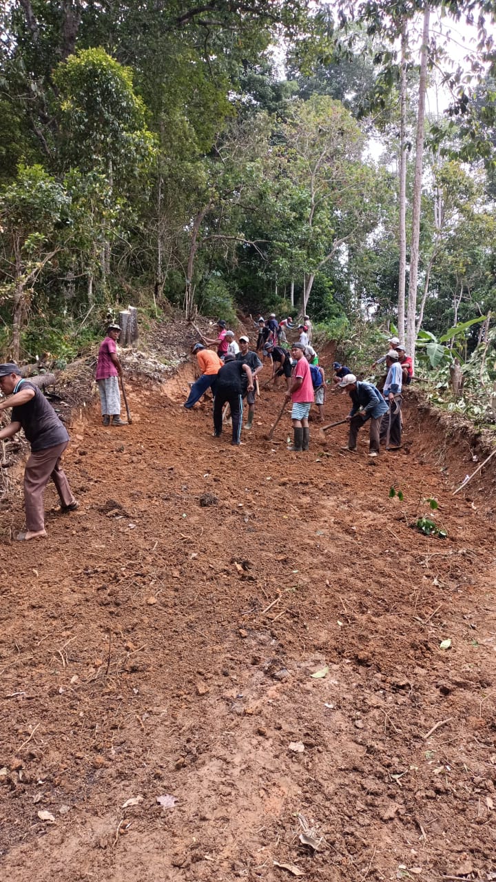 Warga Empat Pekon Gotong Royong Buka Akses Jalan Perkebunan