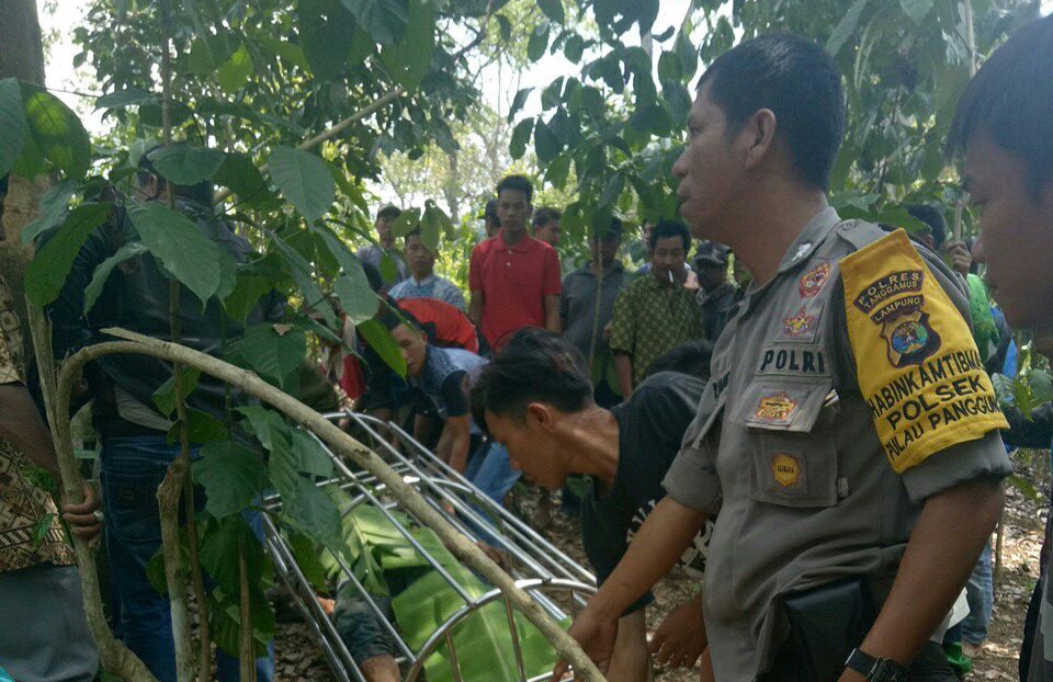 Pasal Ayam Makan Gabah, Tetangga Saling Bacok, 1 Tewas