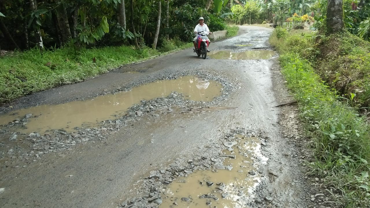 Jalan Penghubung Pekon Sripurnomo – Srikuncoro Rusak Berat