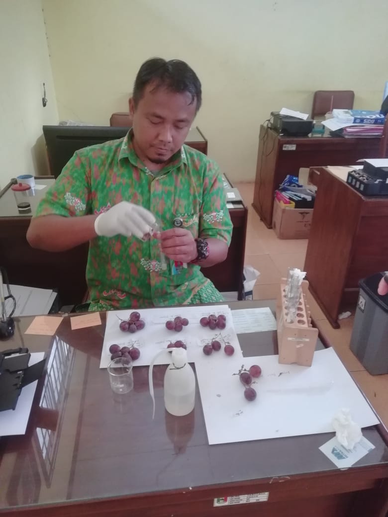 Sementara Tanggamus Aman dari Anggur Berformalin