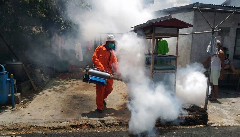 Cegah Penyebaran DBD, Warga Minta Dinas Kesehatan Lakukan Fogging